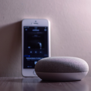 Smart Voice Assistants