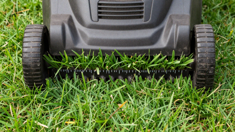 Lawn mowing height for different grass types